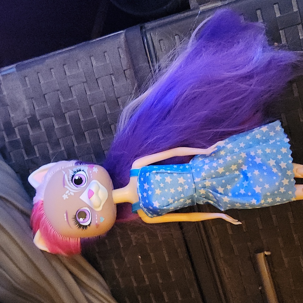 Popstar pup doll